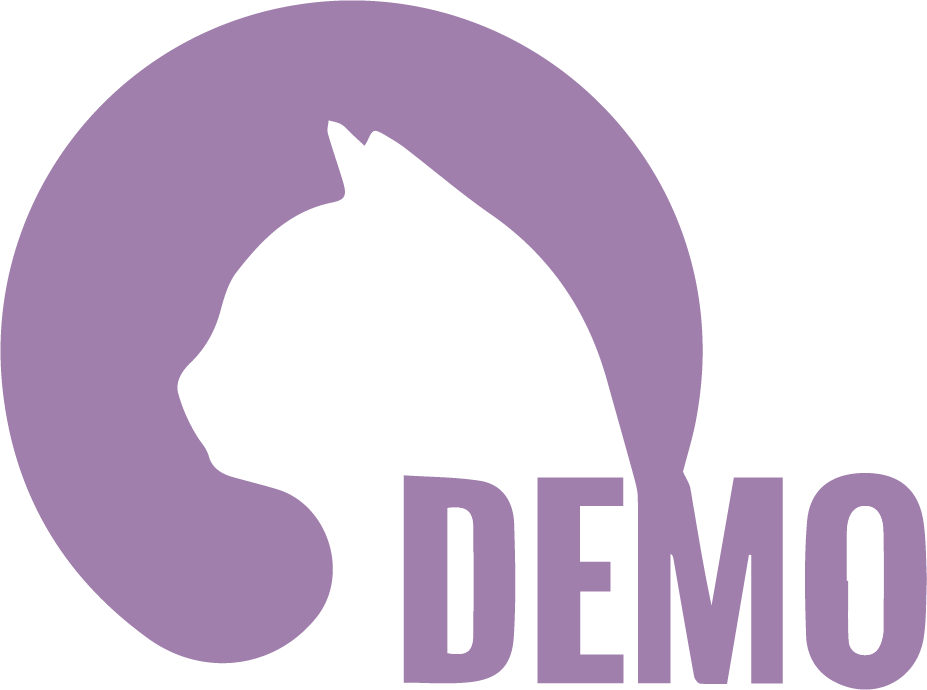 創店商Demo